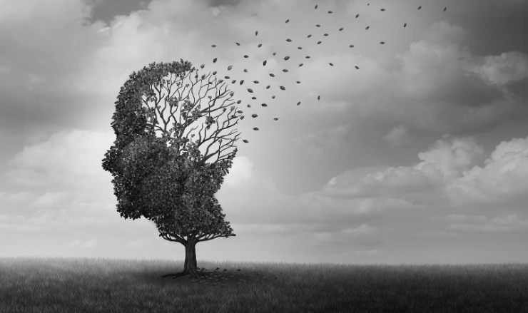 Reduces Symptoms of Alzheimer's Disease, Dementia, and Dyslexia
